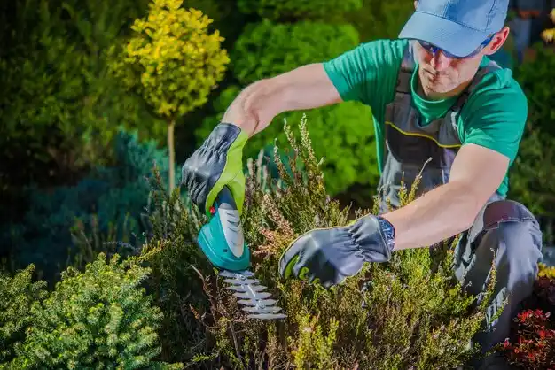 landscaping services Romeo